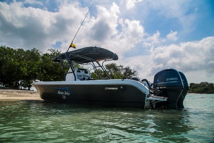 Hire Motorboat Todomar Arco Iris XIII Cartagena