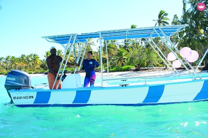 Hire Motorboat Sea Ray 250 Slx Punta Cana