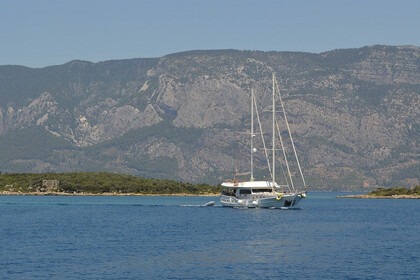 Charter Gulet Custom Gulet Bodrum