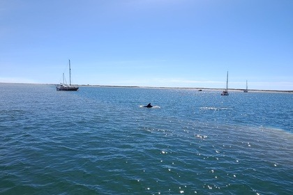 Verhuur Catamaran Bill o Brien Shamrock Alvor