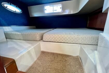 Custom Special 260cv