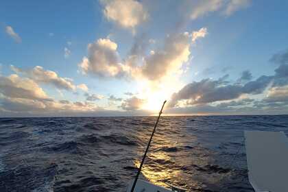 Catamaran cruise departing from Toulon | ORC42