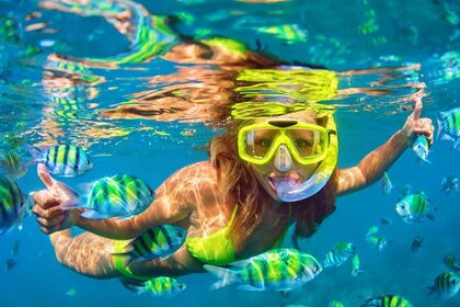 Leopard Catamaran 48'