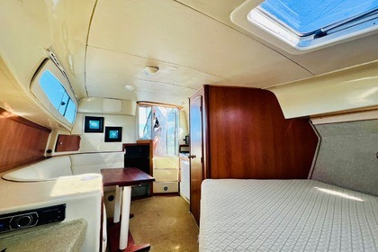 Custom Special 260cv