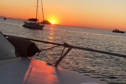 Squalo 2000 Squalo 38H