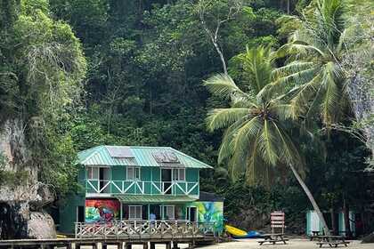 WHALES IN SAMANA FROM JANUARY TO APRIL, WHALES VISIT US. THEY COME EVERY YEAR TO MATE AND GIVE BIRTH. ENJOY THE SHOW IN COMFORT. HAITISES AND CAYO LEVANTADO AND THE WHALES