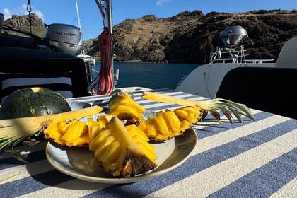 Lagoon 46 "C'est la Vie"