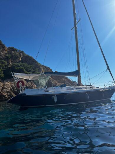 Marsella Sailboat Conyplex contest 36 alt tag text