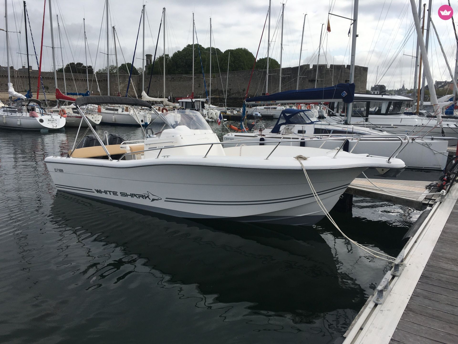 Bateau à moteur White shark White shark 246 300cv 2