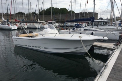 Location Bateau à moteur White shark White shark 246 Concarneau