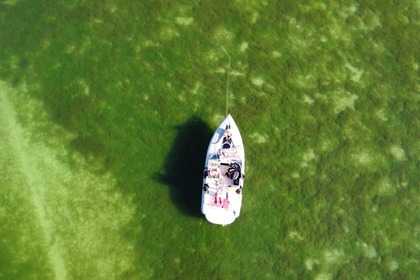 Stingray 225 SX Limited Edition 300 PS