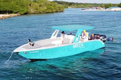 Ενοικίαση Μηχανοκίνητο σκάφος Areca de Palmar 2021 Καρταχένα