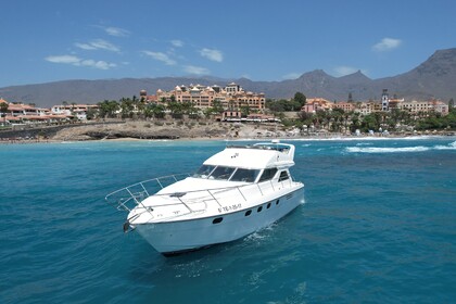 Charter Motorboat frances princess Adeje