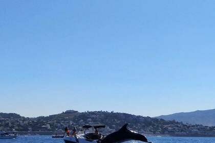 Tessa KEY LARGO 20 confortable et économique