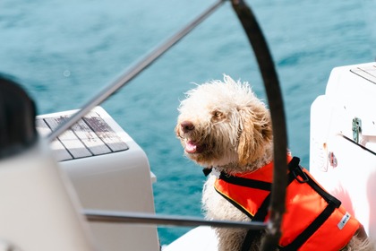 Sailboat Bavaria 44 with Skipper(13,6 m)