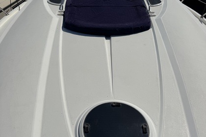 Alquiler Lancha Sunseeker Portofino 53 Roquebrune-Cap-Martin
