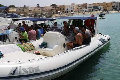 Noleggio Gommone Alson Alson 880 Marsala