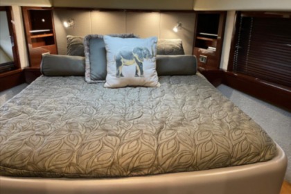 Sea Ray Sundancer 60' Luxury Yacht