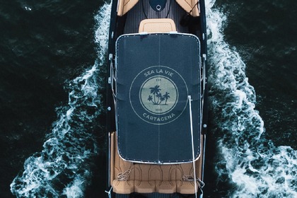 SINGLAR290 SPORT Special Edition 2022