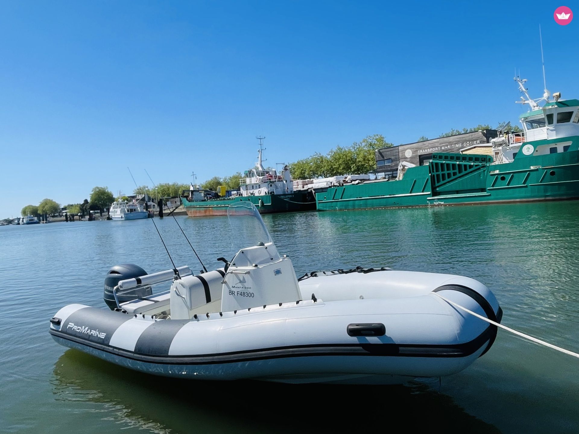 Semi-rigide Pro Marine Manta 550 115cv 3