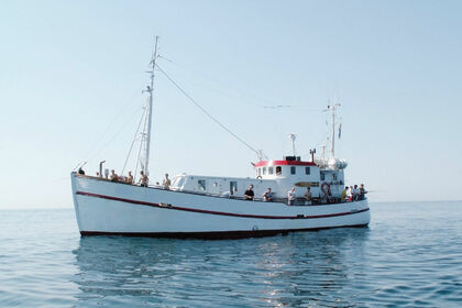 Hyra båt Motorbåt Customized Yrkestrålare Varberg