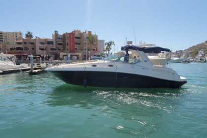 Rental Motorboat Sea Ray 370 Sundancer 2Hrs MinimumBooking Cabo San Lucas
