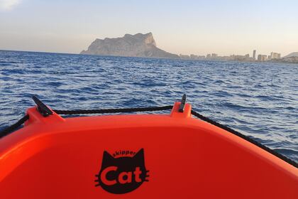 SkipperCat's WHALY - WITHOUT LICENCE