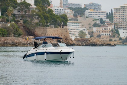 Rental Motorboat Sea Ray 280 Palma de Mallorca