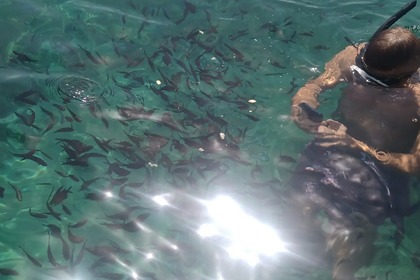 Albatros Traditional boat trips