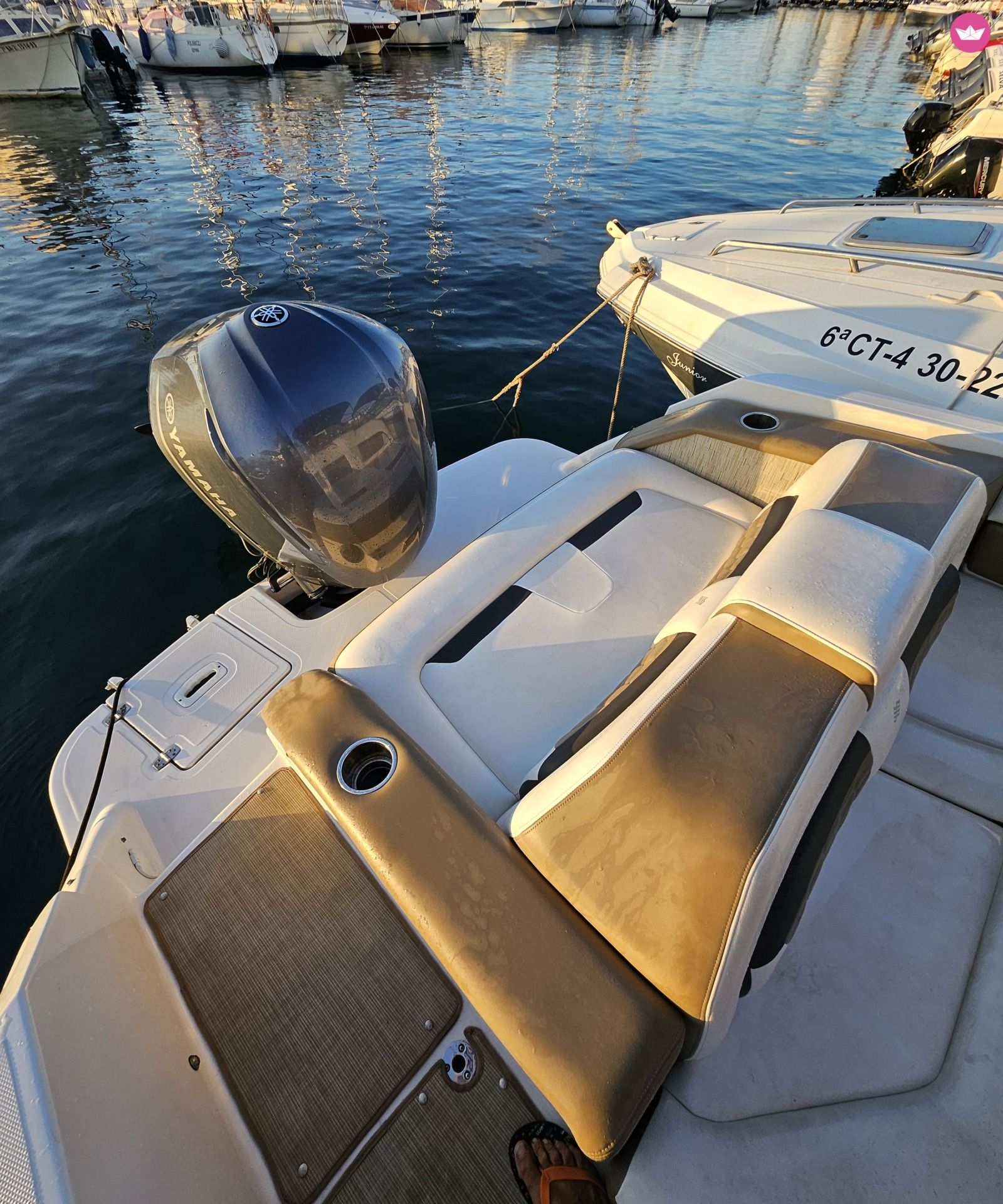 Bateau à moteur Sea Ray Frowins 115cv 8
