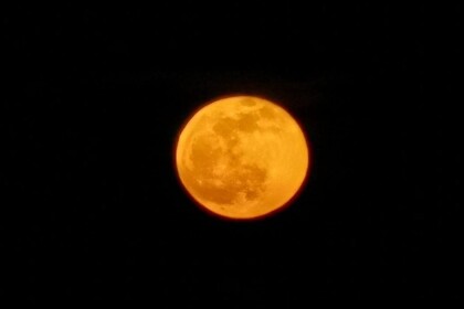 JEANNEAU PRESTIGE 46 FLY