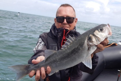 Zodiac SRMN 7,30 / Moteur 200CV