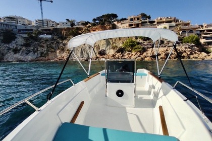 Boat rental without License needed in Santa Ponsa