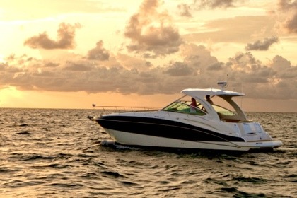 Charter Motorboat Cruiser Yachts 38 Hyères