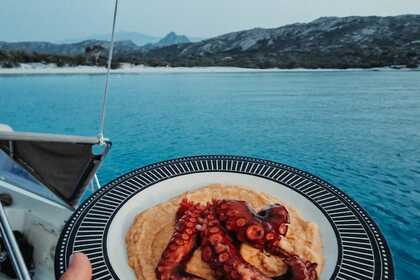 Velero Clasico Vagabond47