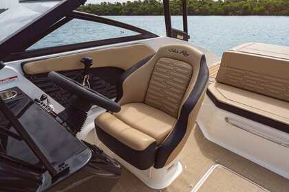 Sea Ray 19 SPX R