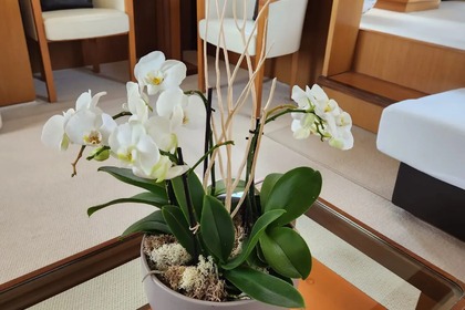 TO ESCAPE  Ferretti Altura 690