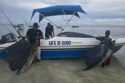 Rondleidingen en safari's in Panama