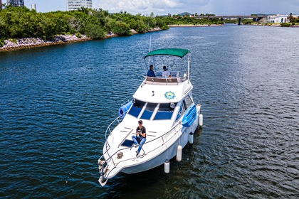 Charter Motorboat Sea Ray 300 sedan Mazatlán