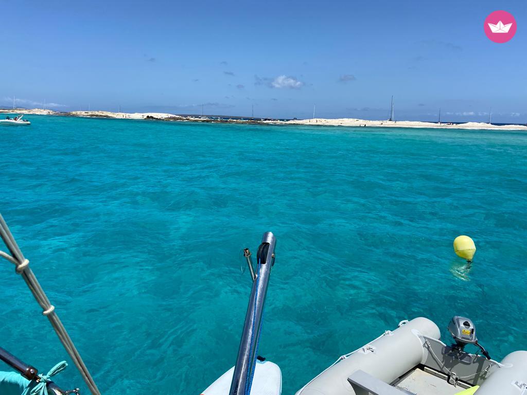 Noleggiare Cruiser 41