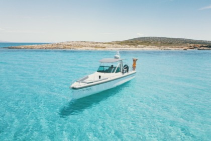 Charter Motorboat Axopar 28 T-top Naxos
