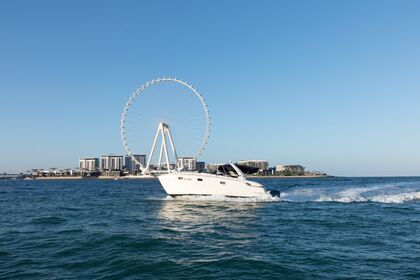 Nora BMW 33ft Luxury Yacht