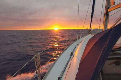 Summer Love - Cruises in Croatia and the Venice Lagoon