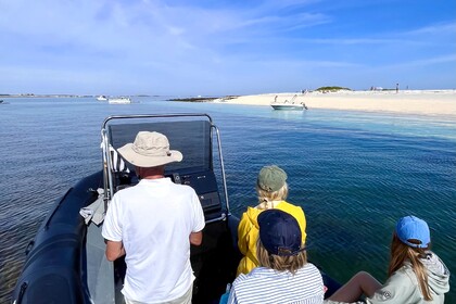 Aluguel Semi Rígido Tarpon DV65 Forêt-Fouesnant