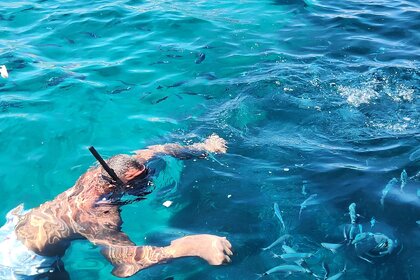 Insidias Fly 200 HP- FREE FUEL AND SKIPPER