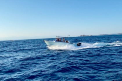 Charter Motorboat Bertram "The Lounge" Palau