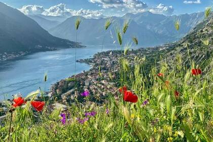 Poseidon - Rent a Boat in Montenegro