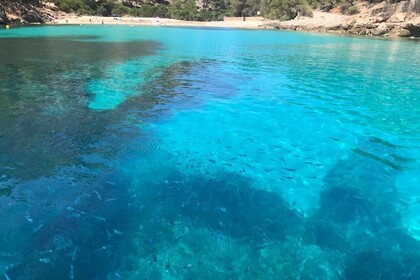 POLLENSA BAY EXCURSIONS