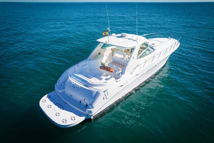 Rental Motorboat Sea Ray 540 Sundancer Marbella