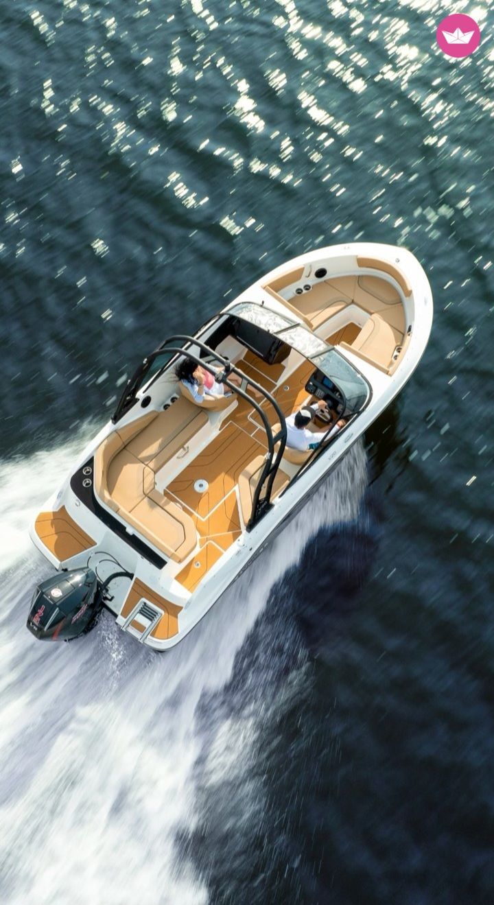 Bateau à moteur Bayliner V20 V 20 150cv